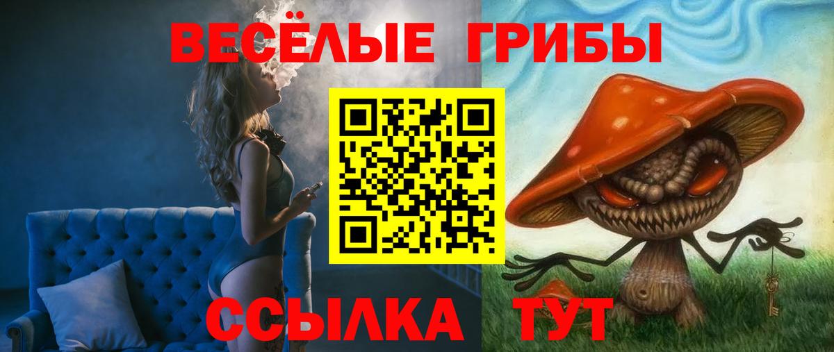 Щёкино  Псилоцибиновые грибы MAGIC MUSHROOMS  Псилоцибиновые грибы прущие грибы  Вход с VPN 
